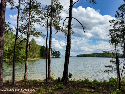 42 Annies Pt, Alexander City, AL 35010