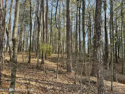 lot70 Restful Cv, Dadeville, AL 36853