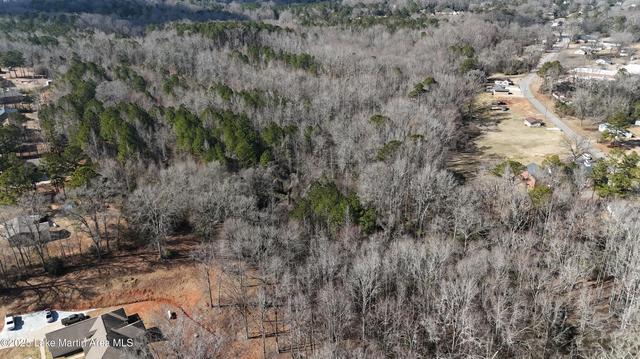 21 Ac Springfield Ave, La Fayette, AL 36862