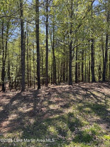 24 Larkspur Ln # A, Jacksons Gap, AL 36861