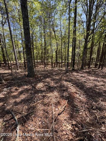 25 Larkspur Ln # A, Jacksons Gap, AL 36861