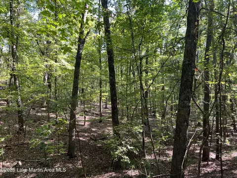 lot8 Pineview, Dadeville, AL 36853