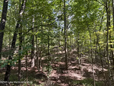 lot9 Pineview Ln, Dadeville, AL 36853
