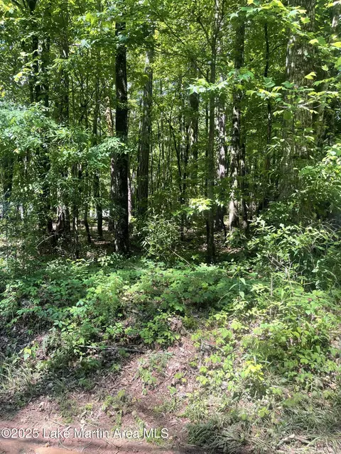 366 Lower Bottom Rd, Alexander City, AL 35010