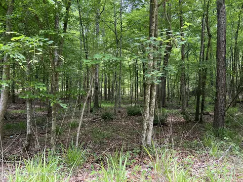 lot22 Fern Brook Crt Crt, Dadeville, AL 36853