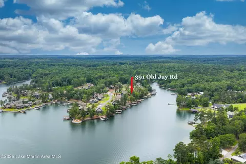 Other - 391 Old Jay Rd, Eclectic, AL 36024 photo 5 of 14