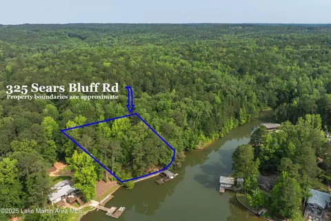 View/Area - 325 Sears Bluff Rd, Eclectic, AL 36024 photo 9 of 11