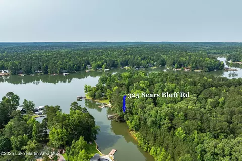 View/Area - 325 Sears Bluff Rd, Eclectic, AL 36024 photo 5 of 11