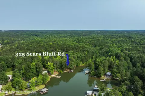View/Area - 325 Sears Bluff Rd, Eclectic, AL 36024 photo 6 of 11