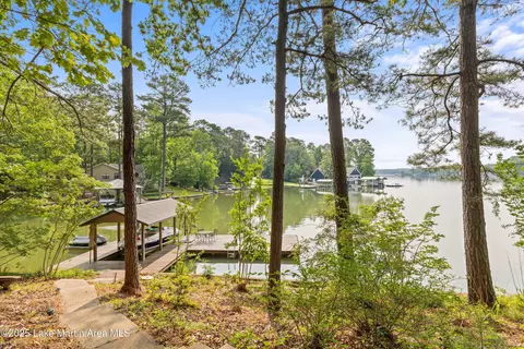 View/Area - 325 Sears Bluff Rd, Eclectic, AL 36024 photo 2 of 11