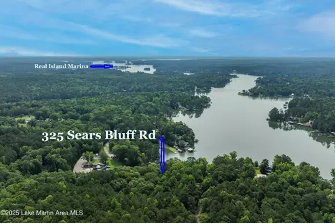 View/Area - 325 Sears Bluff Rd, Eclectic, AL 36024 photo 10 of 11