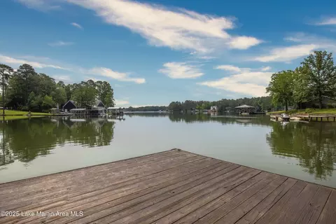 View/Area - 325 Sears Bluff Rd, Eclectic, AL 36024 photo 1 of 11
