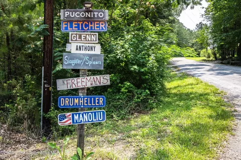 View/Area - 325 Sears Bluff Rd, Eclectic, AL 36024 photo 4 of 11