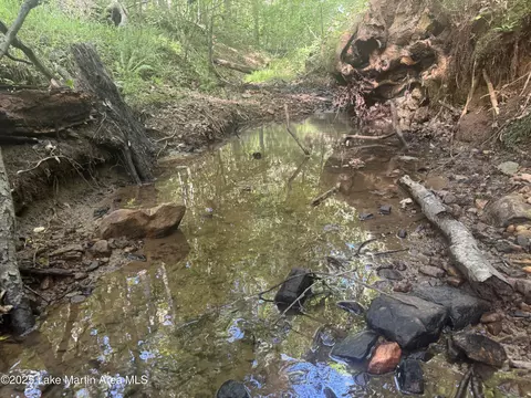 lot7 Buckskin Crt Crt, Dadeville, AL 36853