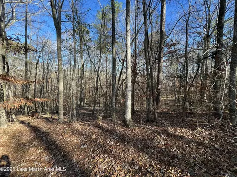 lot S 33343536 Beach Island Trce, Dadeville, AL 36853