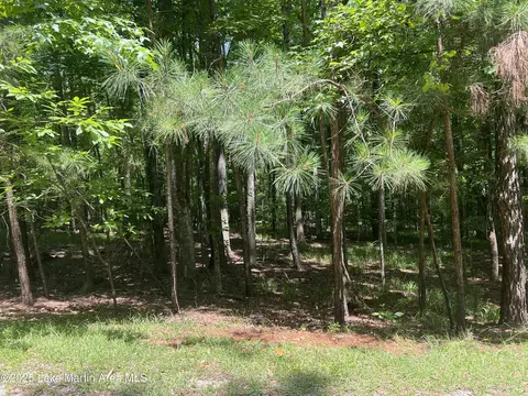 lot60 Windwood Dr, Dadeville, AL 36853