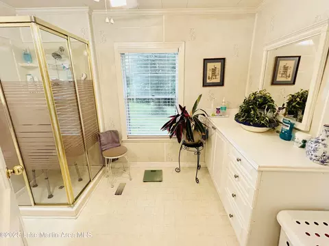 Bath - 619 Madwind Rd, Jacksons Gap, AL 36861 photo 3 of 10