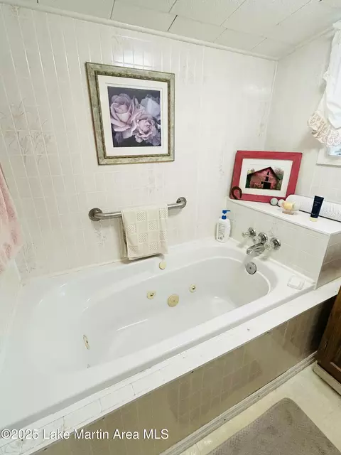 Bath - 619 Madwind Rd, Jacksons Gap, AL 36861 photo 1 of 10