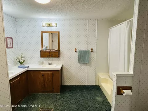 Bath - 619 Madwind Rd, Jacksons Gap, AL 36861 photo 5 of 10