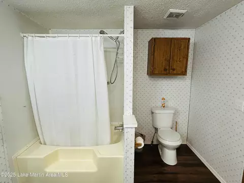 Bath - 619 Madwind Rd, Jacksons Gap, AL 36861 photo 8 of 10
