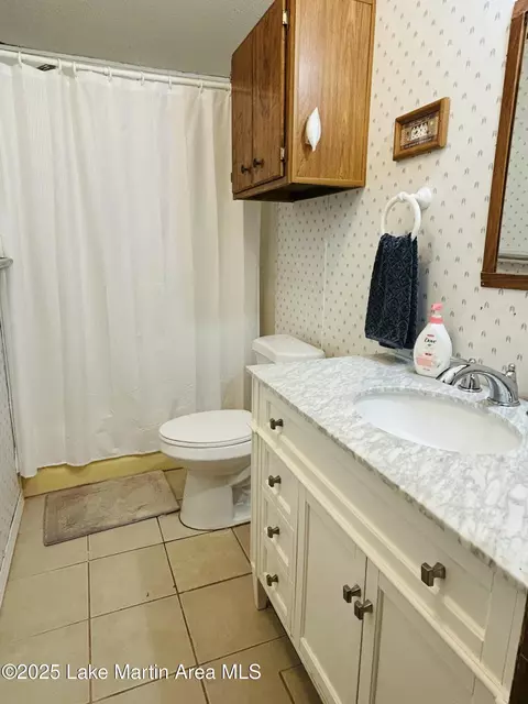 Bath - 619 Madwind Rd, Jacksons Gap, AL 36861 photo 9 of 10
