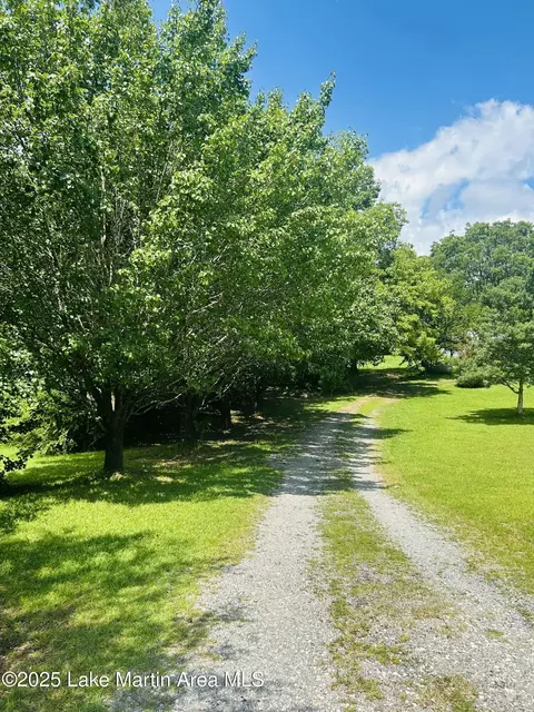 Other - 619 Madwind Rd, Jacksons Gap, AL 36861 photo 6 of 20