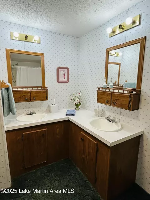 Bath - 619 Madwind Rd, Jacksons Gap, AL 36861 photo 7 of 10