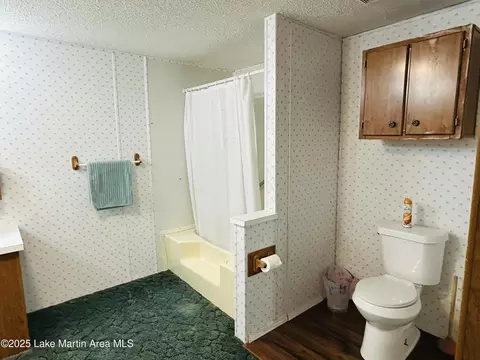 Bath - 619 Madwind Rd, Jacksons Gap, AL 36861 photo 6 of 10