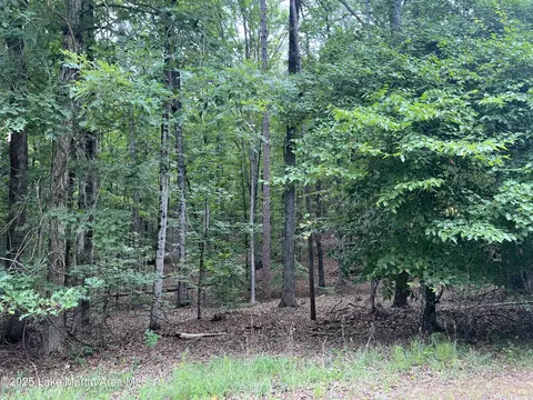 lot20 Vista Wood Dr, Dadeville, AL 36853