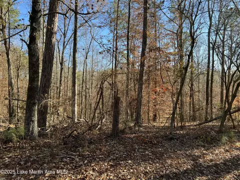 lot S 414456 Fern Ridge Ct, Dadeville, AL 36853
