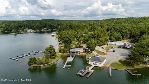 View/Area - 220 Hickory Dr, Equality, AL 36026 photo 14 of 15