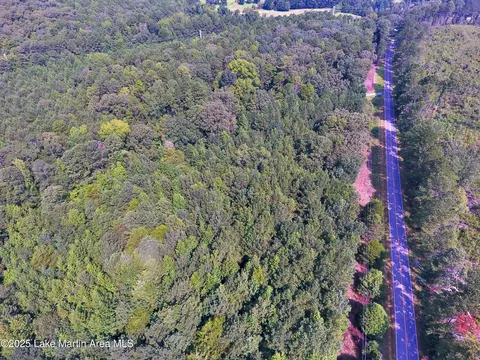 60 Acres Coosa County Rd 5, Sylacauga, AL 35151