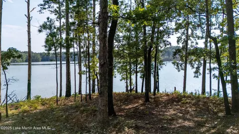 116 Big Pup Crt Crt, Alexander City, AL 35010