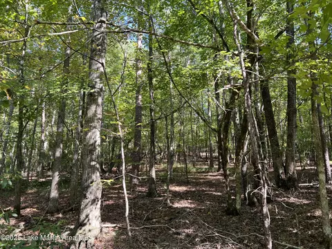 lot11 Fawn Ln, Dadeville, AL 36853