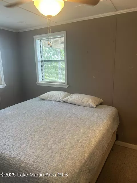 46 Castaway Cir, Eclectic, AL 36024 photo 9