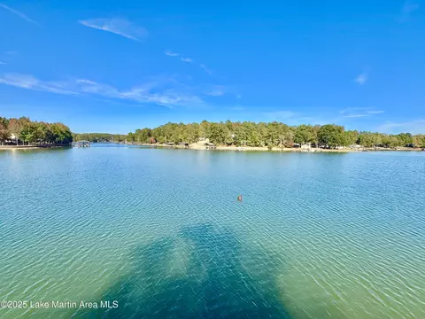 View/Area - 1355 Morrison Rd, Equality, AL 36026 photo 1 of 3