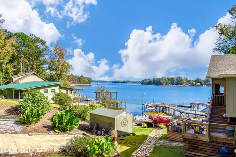 View/Area - 157 Beach Dr, Eclectic, AL 36024 photo 1 of 1