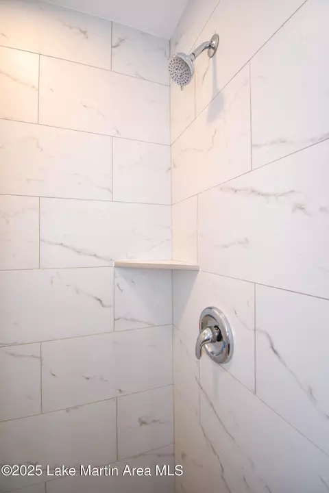 Bath - 157 Beach Dr, Eclectic, AL 36024 photo 4 of 5