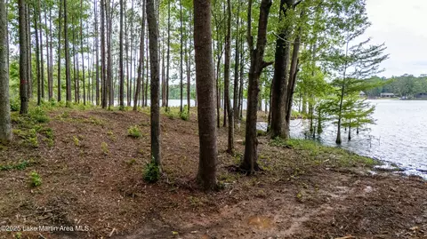 75 Tomahawk Ln, Eclectic, AL 36024 photo 4