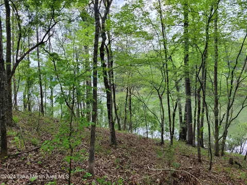 lot6 Hideaway Ln, Tallassee, AL 36078