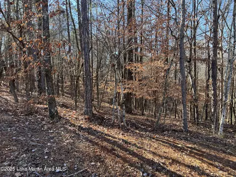 lot53 Doe Ln, Dadeville, AL 36853