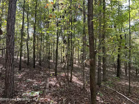 lot51 Long Leaf Ter, Dadeville, AL 36853