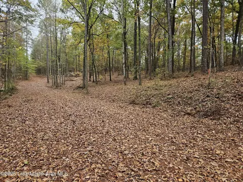 lot29 Redbud Ln, Dadeville, AL 36853