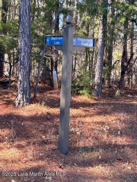 lot1 Stagecoach, Dadeville, AL 36853