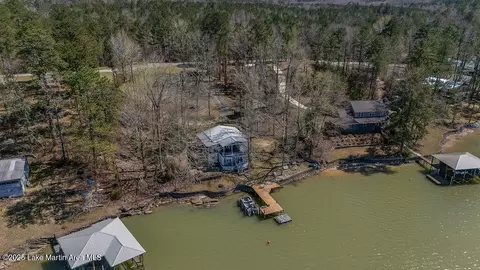 10 Darby Dr, Eclectic, AL 36024 photo 36
