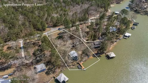 10 Darby Dr, Eclectic, AL 36024 photo 43