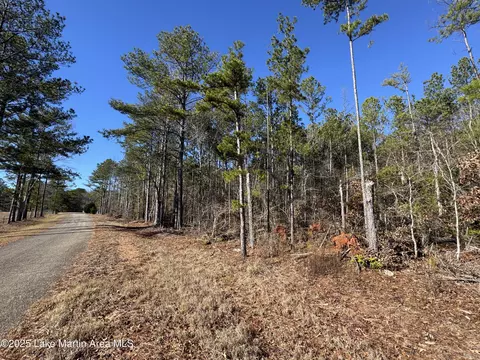 40 Ac Co Rd 260, Five Points, AL 36855