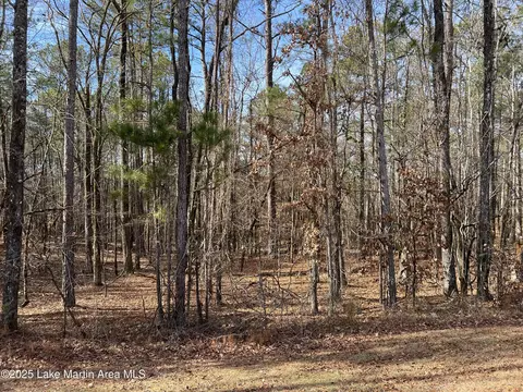 lot3 Stagecoach, Dadeville, AL 36853
