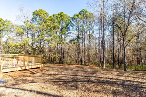 11056 Central Plank Rd, Eclectic, AL 36024 photo 46