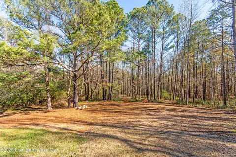 11056 Central Plank Rd, Eclectic, AL 36024 photo 41